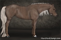 Horse Color:Silver Black Brindle