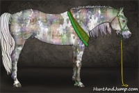 Horse Color:Nacre Plaid  White Spotted Silver Brown Chinchilla  and Nacre Plaid  White Spotted Silver Black Chinchilla 