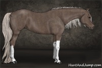Horse Color:Silver Black Brindle