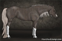 Horse Color:Silver Black Brindle