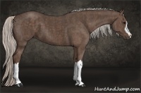 Horse Color:Silver Black Brindle