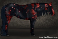 Horse Color:ERROR: UNKNOWN ANOMALY and ERROR: UNKNOWN ANOMALY