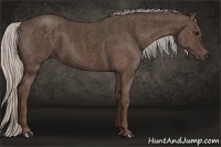 Horse Color:Silver Black  Brindle