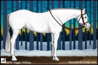 Horse Color:Black Appaloosa  and Black Appaloosa 