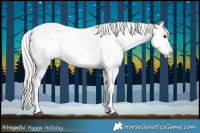 Horse Color:White Spotted Chocolate Silver Black Splash Appaloosa  and White Spotted Chocolate Silver Black Splash Appaloosa 