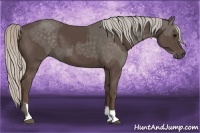 Horse Color:Silver Black and Silver Black