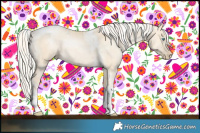 Horse Color:White Spotted Silver Smoky Grullo Pearl Tobiano Rabicano and White Spotted Silver Smoky Grullo Pearl Tobiano Rabicano