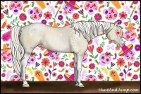 Horse Color:White Spotted Silver Smoky Grullo Pearl Tobiano Rabicano  and White Spotted Silver Smoky Grullo Pearl Tobiano Rabicano 