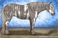 Horse Color:White Spotted Silver Black Splash  Brindle