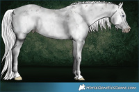 Horse Color:White Spotted Chocolate Silver Brown Chinchilla Onyx Sabino Brindle