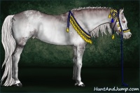 Horse Color:White Spotted Chocolate Silver Brown Chinchilla Onyx Sabino Brindle