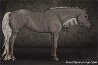 Horse Color:Silver Black Brindle