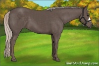 Horse Color:Silver Black and Silver Black