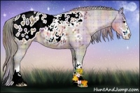 Horse Color:Nacre Plaid Bay Sabino Blanket