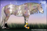 Horse Color:Nacre White Spotted Silver Bay Ice Sabino Rabicano