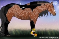 Horse Color:Bay Ice Sabino Tobiano