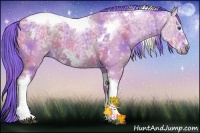 Horse Color:Nacre Watercolor Bay Ice Sabino Tobiano Frame 