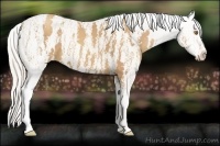 Horse Color:Silver Classic Champagne Roan Splash Tobiano Frame Appaloosa Rabicano  Brindle