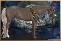 Horse Color:Silver Black and Silver Black