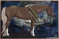 Horse Color:Silver Black and Silver Black