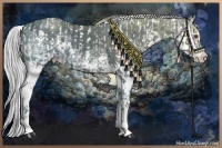 Horse Color:Silver Black Chinchilla Ice Sabino Splash Leopard  and Silver Black Chinchilla Ice Sabino Splash 