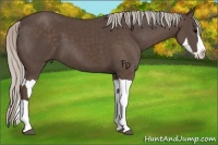 Horse Color:Silver Black Splash and Silver Black Splash