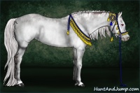 Horse Color:White Spotted Chocolate Silver Brown Chinchilla Dun Sabino and White Spotted Chocolate Silver Brown Chinchilla Dun Sabino