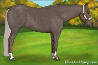 Horse Color:Silver Black and Silver Black
