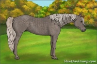 Horse Color:Silver Black  Brindle