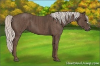 Horse Color:Silver Black Brindle