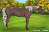Horse Color:Silver Black  Brindle