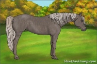 Horse Color:Silver Black  Brindle