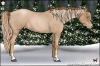 Horse Color:Red Roan Pearl Sabino