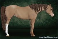 Horse Color:Classic Champagne  and Classic Champagne 