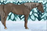 Horse Color:Chocolate Palomino 