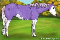 Horse Color:Watercolor Silver Black Ice Sabino Splash Rabicano 