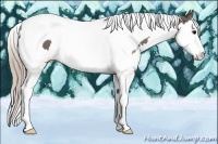Horse Color:Silver Blue Roan Splash Tobiano 