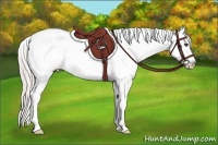 Horse Color:Silver Grullo Appaloosa