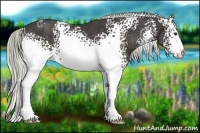 Horse Color:White Spotted Liver Chestnut Rabicano 
