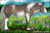 Horse Color:White Spotted Liver Chestnut Rabicano 