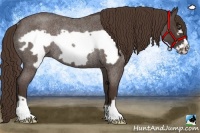 Horse Color:Liver Red Roan Frame Rabicano