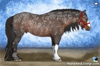 Horse Color:Liver Red Ice Roan Rabicano 