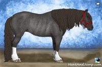 Horse Color:Liver Red Roan Rabicano