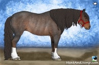 Horse Color:Liver Red Roan Rabicano