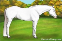 Horse Color:Brown Roan Varnish