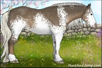 Horse Color:White Spotted Liver Chestnut Rabicano 