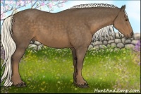 Horse Color:Liver Chestnut Rabicano