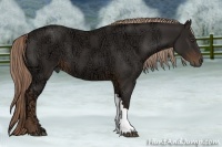 Horse Color:Liver Chestnut Ice 
