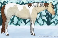 Horse Color:Red Dun Ice Roan Tobiano 