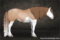 Horse Color:Brown Pearl Splash Rabicano 
